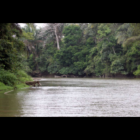 cano negro rio frio 
 - Costa Rica