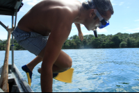 cahuita national park snorkeling hiking tour jumping in 
 - Costa Rica