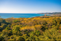 ocean view during canopy mailpais
 - Costa Rica