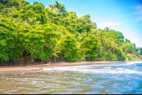 Cano Island Shores
 - Costa Rica