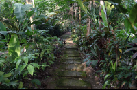 baldi hotsprings hiking trail 
 - Costa Rica