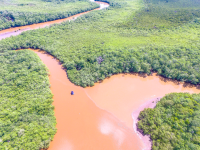 Aerial View Tamarindo Estauary Canals
 - Costa Rica