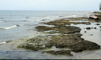 playa chiquita tide pool 
 - Costa Rica