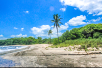 Palms On Pelada
 - Costa Rica