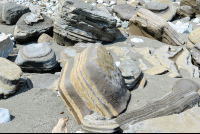 Stone Layers On Hike Sirena To La Leona Ranger Station
 - Costa Rica