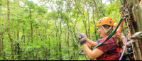 senderos aerios canopy tour before tarzan 
 - Costa Rica