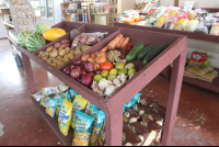 produce shelves samaraorganics 
 - Costa Rica