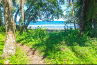 playa negra green 
 - Costa Rica