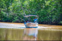 Boat On A Tour In The Tamarindo Estuary
 - Costa Rica