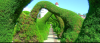 Zarcero Wavy Tunnel Gardens
 - Costa Rica