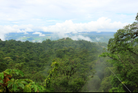 superman de osa view 
 - Costa Rica