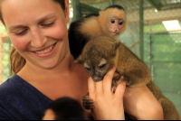 dominical destination osa animal shelter 
 - Costa Rica