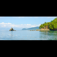 golfo dulce dolphin tour puerto jimenez
 - Costa Rica
