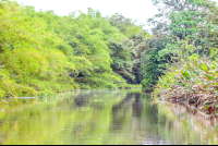 extra sierpe boat tour 
 - Costa Rica