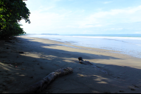 hermosa beach attraction dominical log 
 - Costa Rica