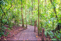 Buried Cement Block Trail Arenal Hanging Bridges Mistico Park
 - Costa Rica