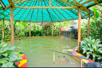 Covered Hot Spring Pool Blue River Resort
 - Costa Rica