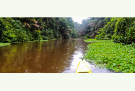 Tortuguero National Park