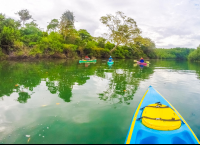 On The Canal Kayaking Platanares Mangroves In Puerto Jimenez
 - Costa Rica