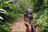 nauyaca waterfalls horses 
 - Costa Rica