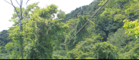 Zipline Canopy Mal Pais
 - Costa Rica