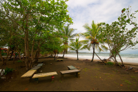 Benches Fronting Playa Manzanillo
 - Costa Rica