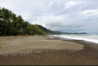 hotel domilocos dominical beach 
 - Costa Rica