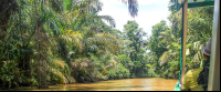 tortuguero all inclusive tour page suerte river 
 - Costa Rica