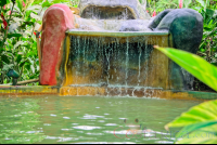 Blue River Resort Hot Spring Pool With Cascade
 - Costa Rica