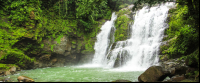 nauyaca waterfalls cascades 
 - Costa Rica