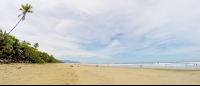 Surfing Lesson At Playa Hermosa Santa Teresa
 - Costa Rica