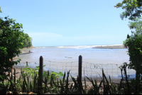 boca nosara stable view
 - Costa Rica