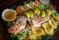 Whole Fish With Limes And Patacones Casa El Tortugo
 - Costa Rica