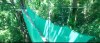 Hanging Bridge Canopy Mal Pais
 - Costa Rica