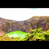 irazu volcano crater with poor man umbrella plants
 - Costa Rica
