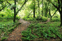 hot springs lodge trail 
 - Costa Rica