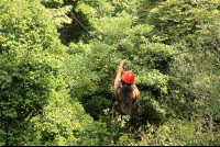 flight of the toucan tree climb combo tour canopy 
 - Costa Rica