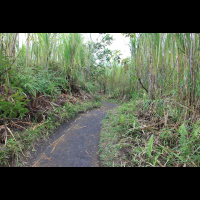 arenal national park pathway 
 - Costa Rica