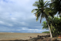 ballena national marine park uvita beach 
 - Costa Rica