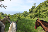 three horse panoramic punta islita 
 - Costa Rica