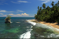 puerto viejo destination gandoca manzanillo wildlife refuge 
 - Costa Rica