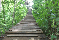 suspension bridge wingnuts canopy 
 - Costa Rica