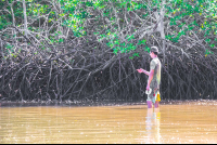 Man Fishing On Tamarindo Estuary
 - Costa Rica