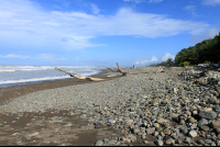 surf shak beach 
 - Costa Rica