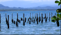 cahuita national park attraction page old port 
 - Costa Rica