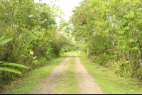 Sphere Park Entrace Path
 - Costa Rica