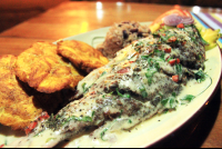 coral caribe coconut broiled red snapper 
 - Costa Rica