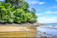 pinuelas beach attraction beach flora 
 - Costa Rica