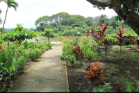 Crocodile Tour Garden
 - Costa Rica