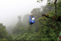 skytrek through the forest 
 - Costa Rica